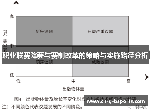 职业联赛降薪与赛制改革的策略与实施路径分析