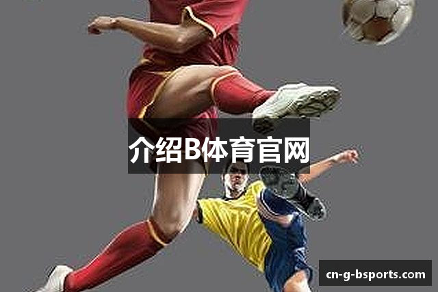 介绍B体育官网